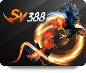 Join the SBOTOP Game Bài Hot Revolution: Play and Win Big